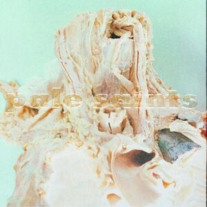 Pale Saints - In Ribbons  LP LP